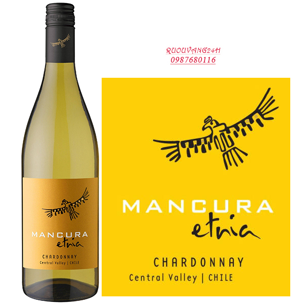 Rượu Vang Mancura Etnia Chardonnay