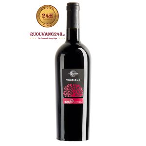 Rượu Vang Visciole