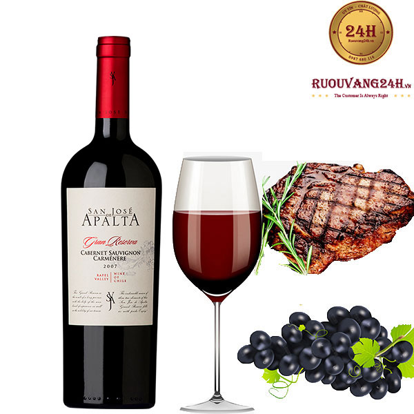 Rượu Vang San Jose De Apalta Gran Reserva - Rượu Vang 24H