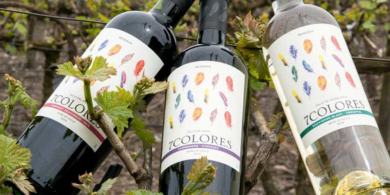 Rượu Vang 7Colores Reserva Cabernet Sauvignon Pais