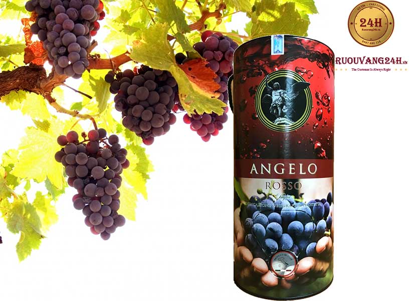 Rượu Vang Bịch Angelo Rosso