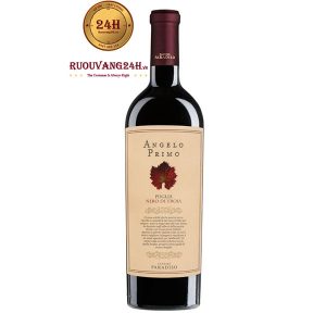 Rượu Vang Angelo Primo Puglia Nero Di Troia