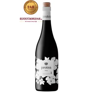 Rượu Vang Protea Shiraz