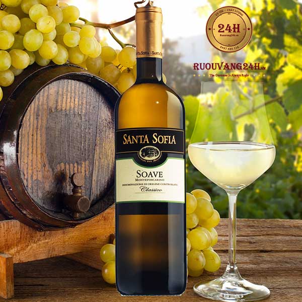 Rượu Vang Santa Sofia Soave Classico Montafoscarino