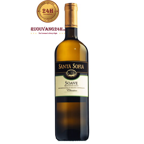 Rượu Vang Santa Sofia Soave Classico Montafoscarino