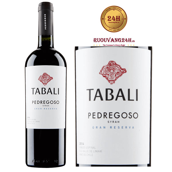 Rượu Vang Tabali Pedregoso Syrah Gran Reserva