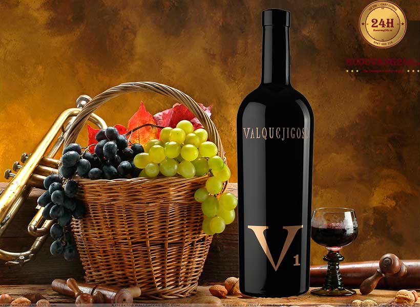 Rượu Vang V1 Valpuejigoso