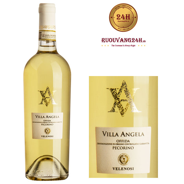 Rượu Vang Villa Angela – X Docg Pecorino