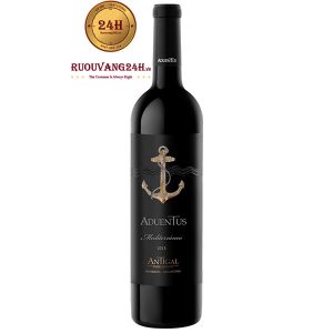 Rượu vang Antigal Aduentus