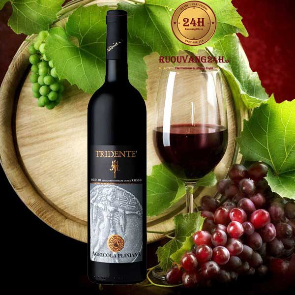 Rượu vang Tridente Salento Rosso Cantine di Marco