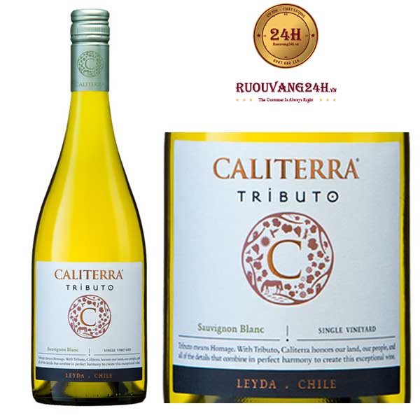 Rượu Vang Caliterra Tributo Sauvignon Blanc