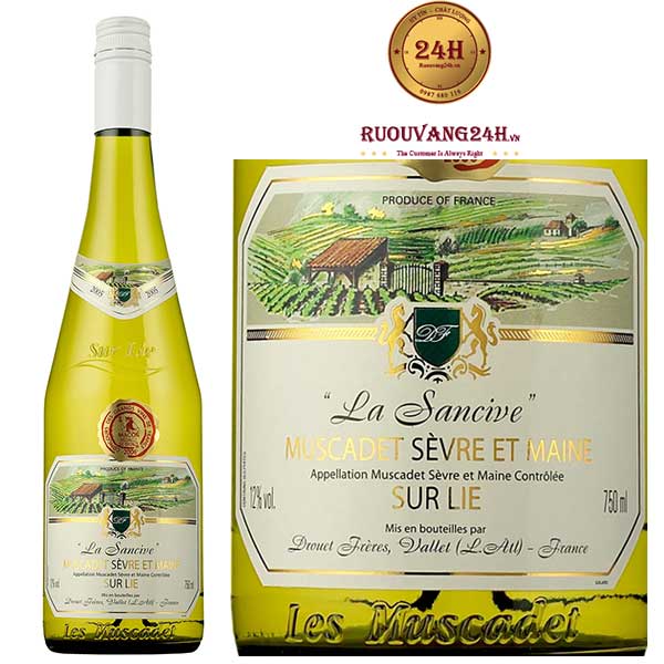 Rượu Vang La Sancive Muscadet Sevre et Maine