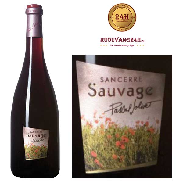 Rượu Vang Pascal Jolivet Sauvage Sancerre