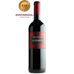 Rượu vang Arzuaga La Planta Ribeira del DueroRượu vang Arzuaga La Planta Ribeira del Duero