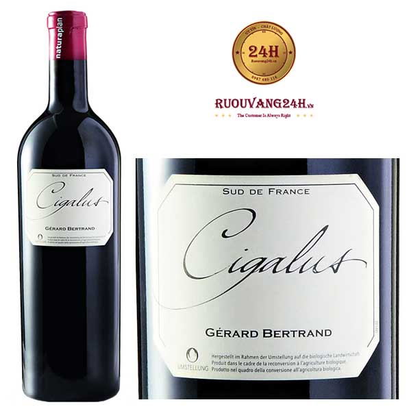 Rượu vang Gerard Bertrand “Cigalus” Aude Hauterive IGP