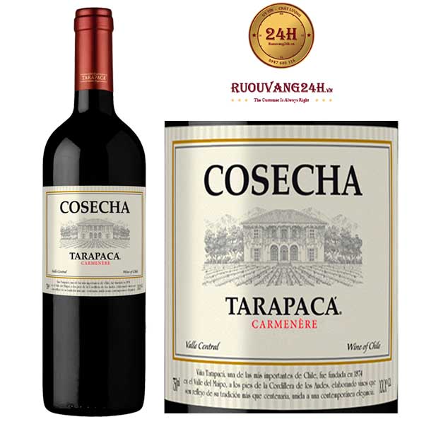 Rượu Vang Chile Tarapaca Cosecha Carmenere