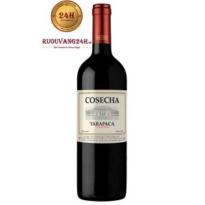 Rượu Vang Chile Tarapaca Cosecha Carmenere
