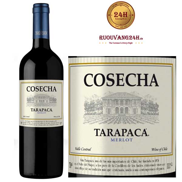 Rượu Vang Chile Tarapaca Cosecha Merlot