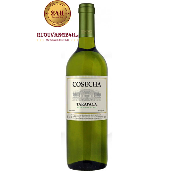Rượu Vang Trắng Tarapaca Cosecha Sauvignon Blanc