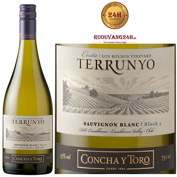 Rượu Vang Concha Y Toro Terrunyo Sauvignon Blanc Block 5