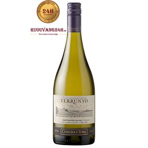 Rượu Vang Concha Y Toro Terrunyo Sauvignon Blanc Block 5