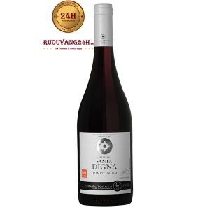 Rượu Vang Miguel Torres Santa Digna Pinot Noir