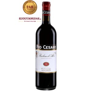 Rượu Vang Pio Cesare Barbera d'Alba DOC