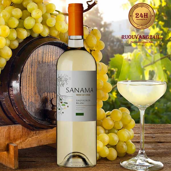 Rượu Vang Sanama Sauvignon Blanc