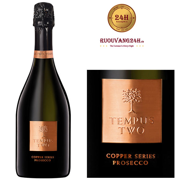 Rượu vang Tempus Two Copper Series