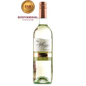 Rượu vang Terre Allegre - IGT Trebbiano