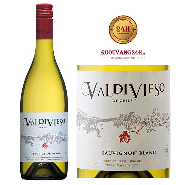 Rượu Vang Valdivieso Of Chile Sauvignon Blanc