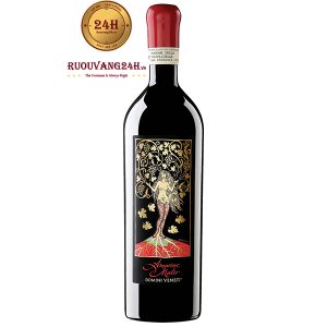 Rượu vang Amarone Mater Domini Veneti