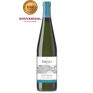 Rượu vang Forcola Pinot Grigio