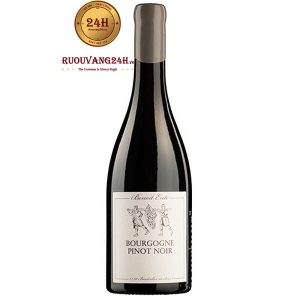 Rượu Vang Domaine Benoit Ente Bourgogne Pinot Noir