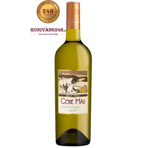 Rượu Vang Pháp Cote Mas Languedoc Blanc