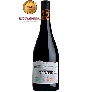 Rượu Vang Casa Marin Cartagena Pinot Noir
