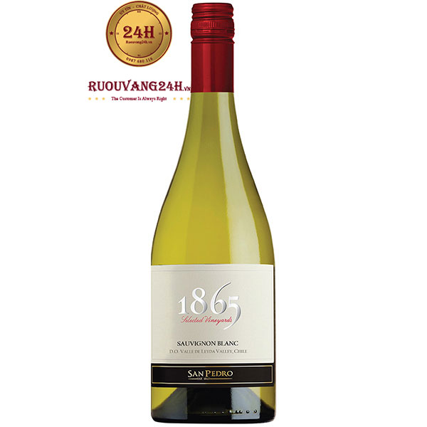 Rượu Vang 1865 Selected Vineyard Sauvignon Blanc
