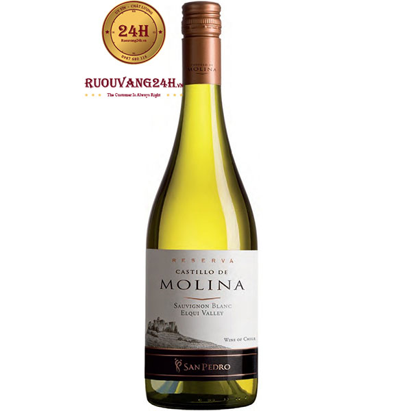 Rượu Vang Castillo De Molina Reserva Sauvignon Blanc