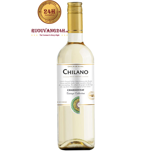 Rượu Vang Chilano Chardonnay