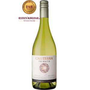 Rượu Vang Caliterra Tributo Gran Reserva Single Vineyard Chardonnay