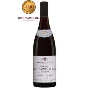 Rượu Vang Bouchard Père & Fils Nuits Saint Georges Les Cailles