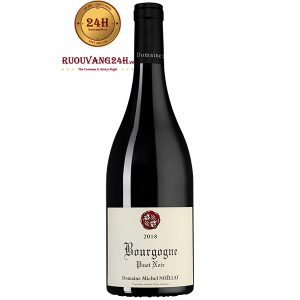 Rượu Vang Domaine Michel Noellat Bourgogne Pinot Noir