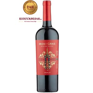 Rượu Vang MontGras Day One Merlot
