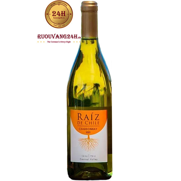 Rượu Vang Raíz De Chile Chardonnay