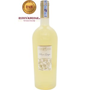 Rượu Vang Tenuta Ulisse Pinot Grigio
