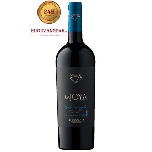 Rượu Vang Bisquertt La Joya Single Vineyard Merlot