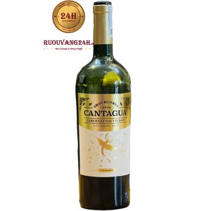 Rượu Vang Cantagua Gran Reserva Cabernet Sauvignon