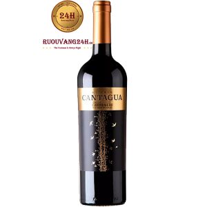 Rượu Vang Cantagua Reserva Carmenere