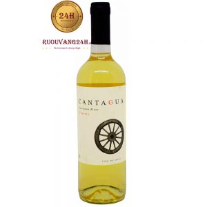 Rượu Vang Cantagua Sauvignon Blanc