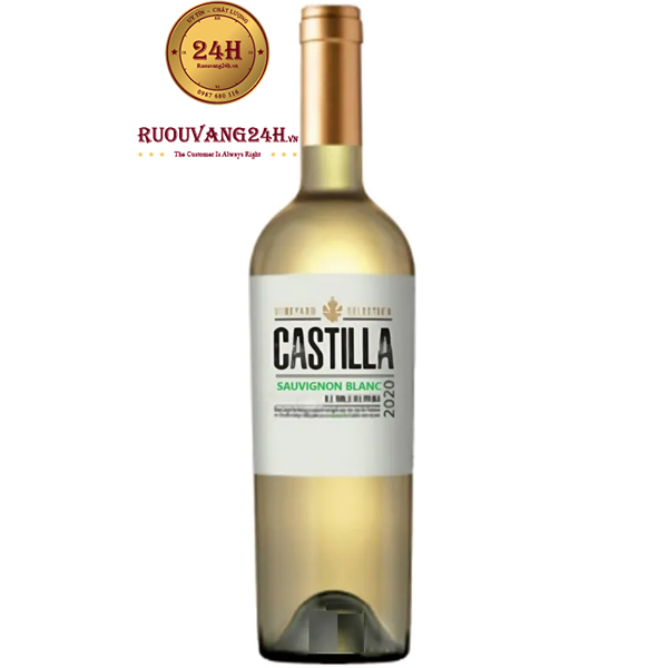 Rượu Vang Castilla Sauvignon Blanc